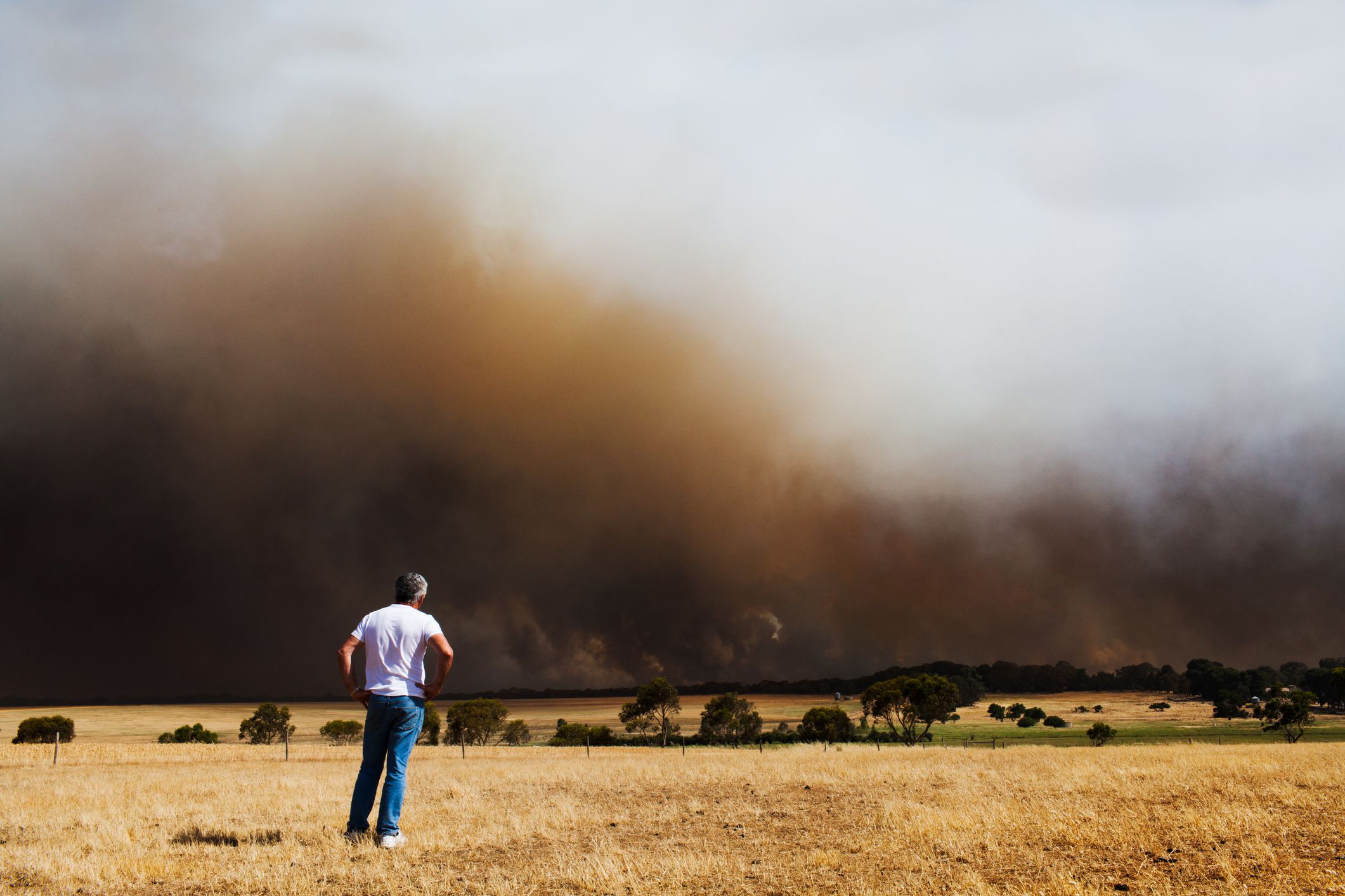 El impacto negativo del humo de los incendios forestales en la salud mental