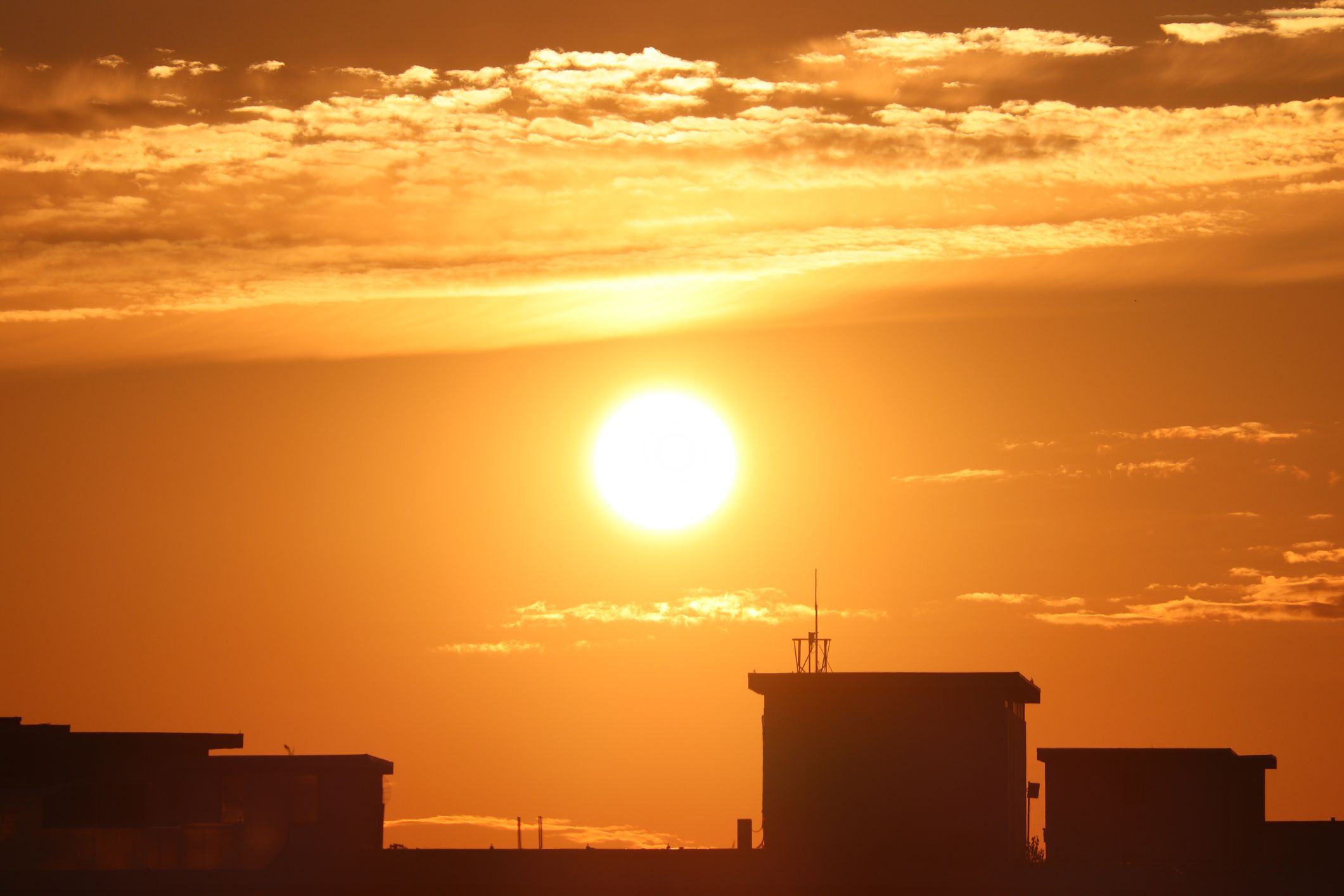 El calor extremo se relaciona con el aumento de las visitas a la sala de emergencias por problemas de salud mental