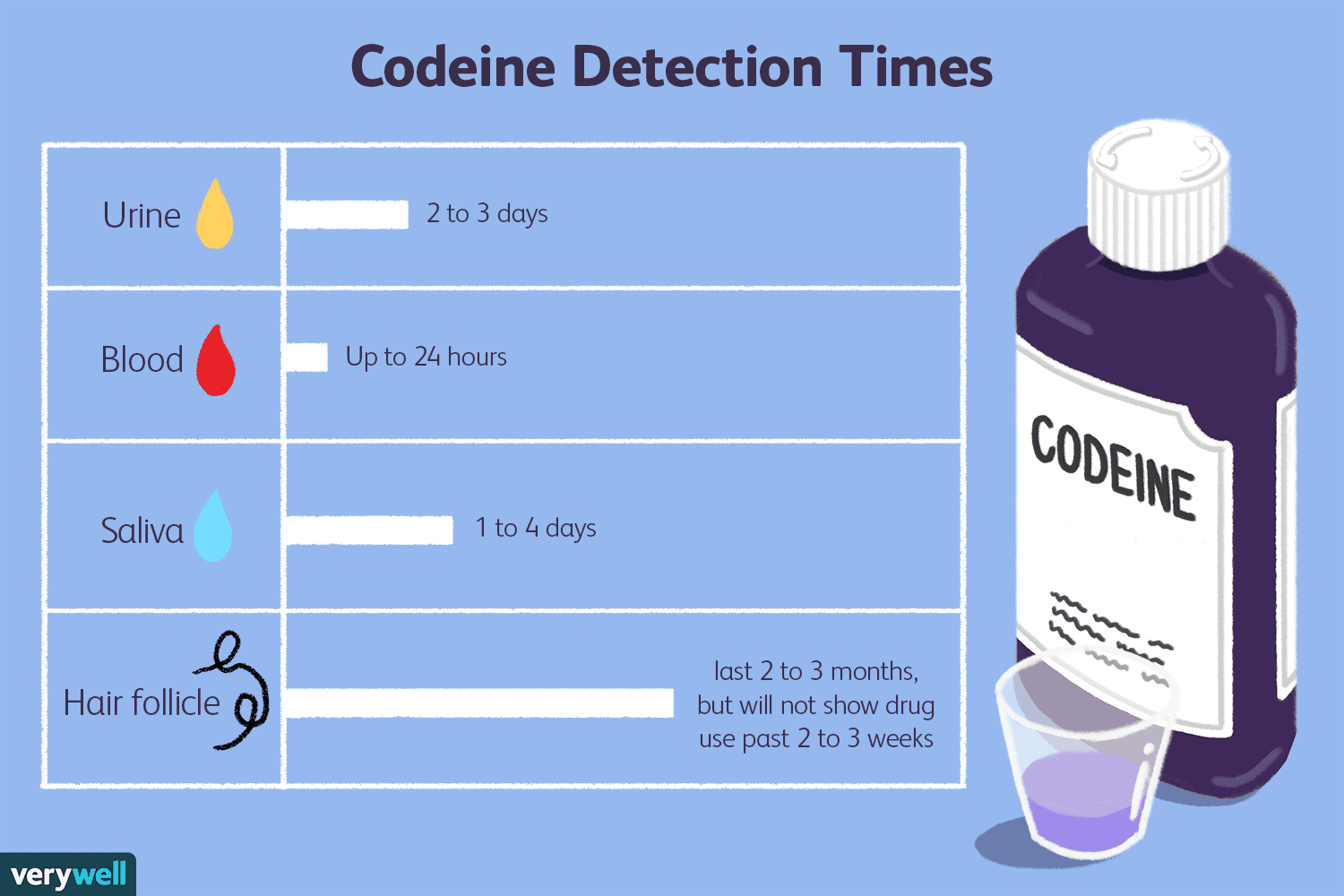 ¿Cuánto tiempo permanece la codeína en su sistema?