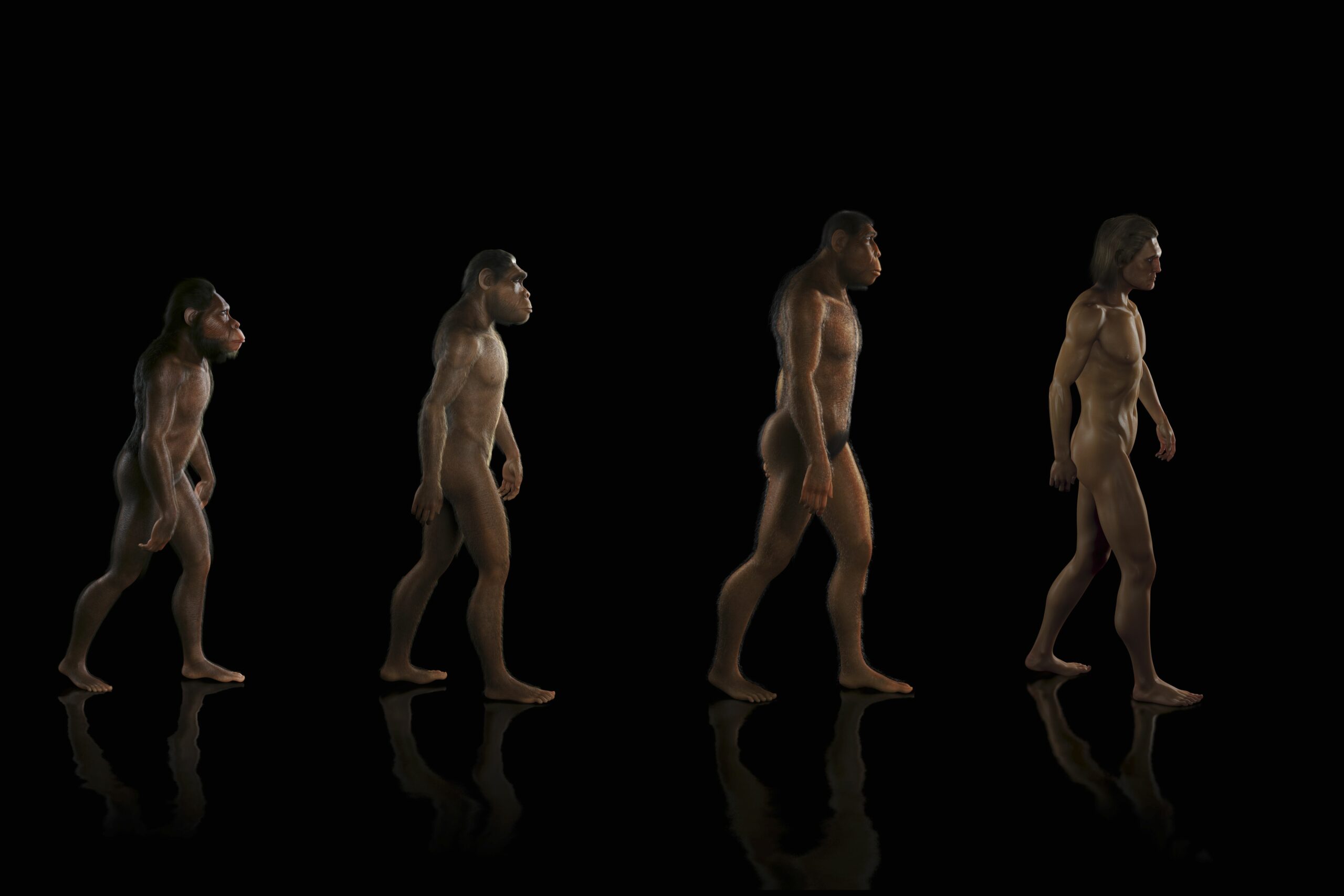 Comportamiento Humano y Psicología Evolutiva